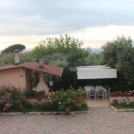 B&B La Terrazza Di Frascati Exterior photo