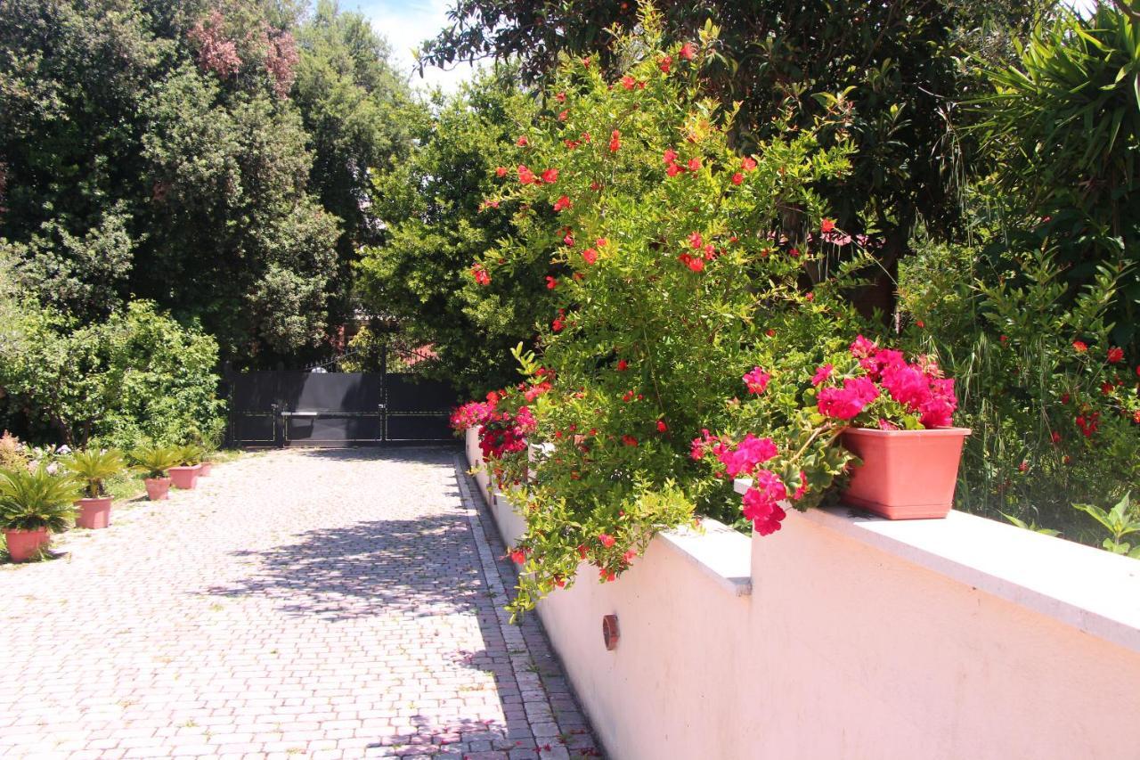 B&B La Terrazza Di Frascati Exterior photo