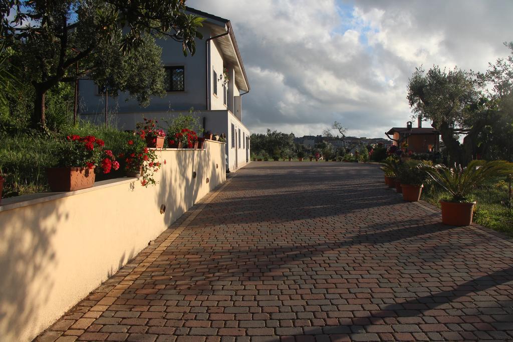 B&B La Terrazza Di Frascati Exterior photo