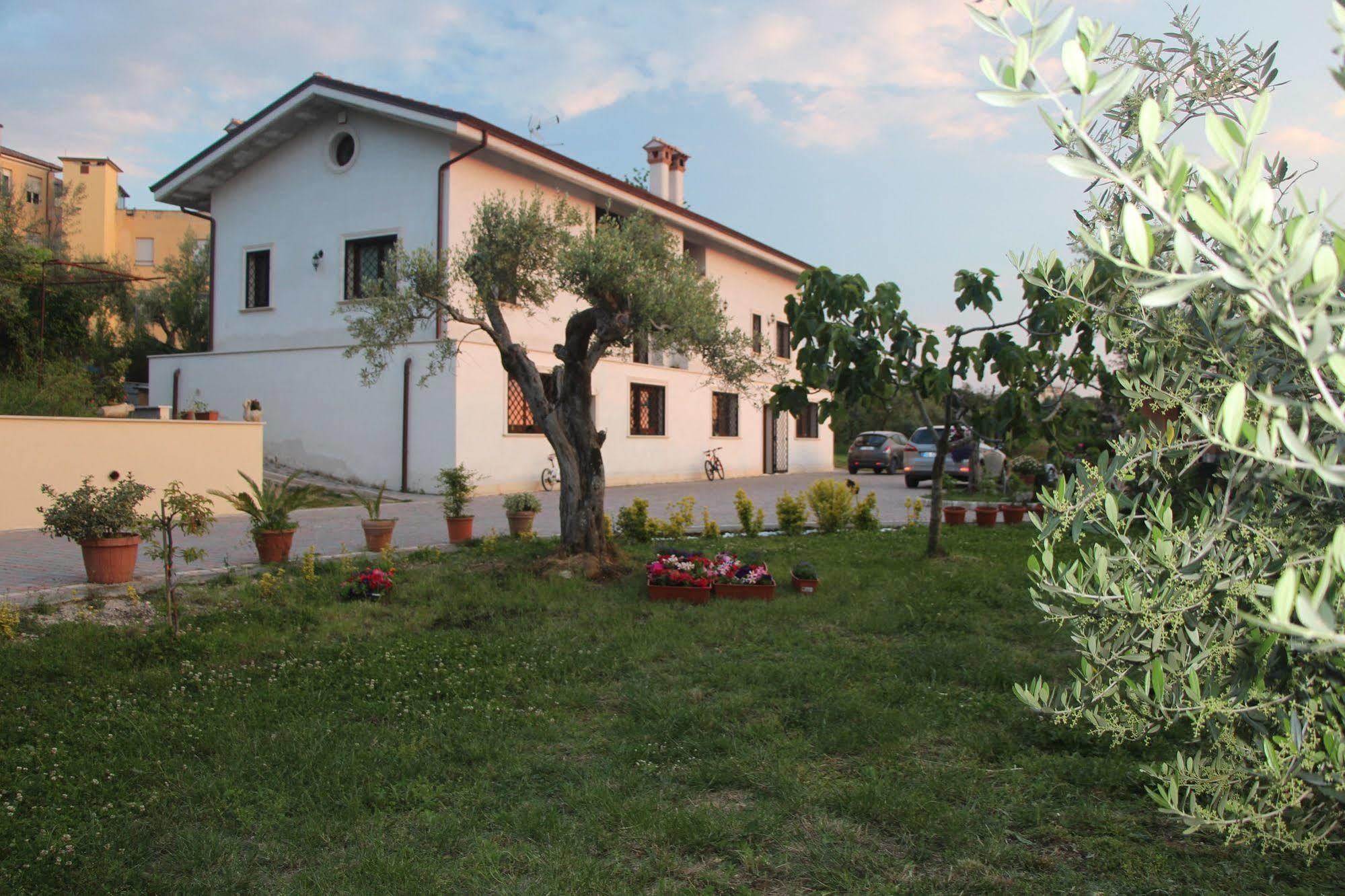 B&B La Terrazza Di Frascati Exterior photo