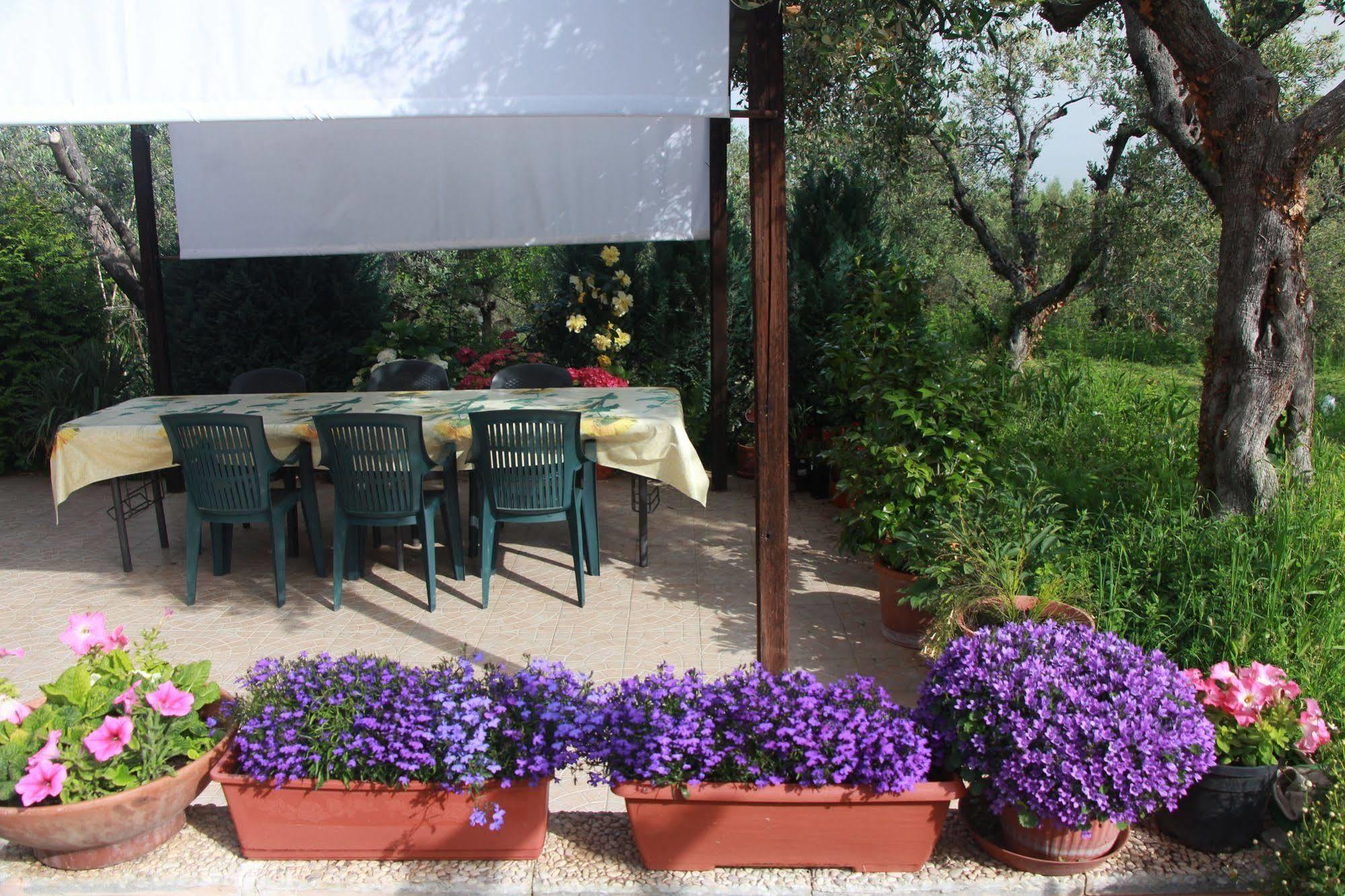 B&B La Terrazza Di Frascati Exterior photo